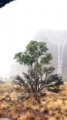 Witnessing the Waterfalls at Uluru