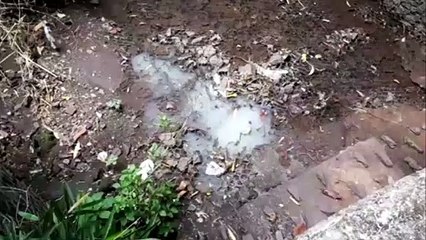 Vazamento de esgoto é registrado na Rua Carlos de Carvalho, no Centro