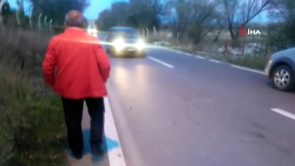 Can çekişen yaralı köpeği sürücüler araçlarına almak istemedi