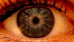 Focus On Diabetic Eye Disease