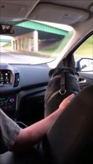 Ce chien baisse sa tête dès qu'il passe sous un pont