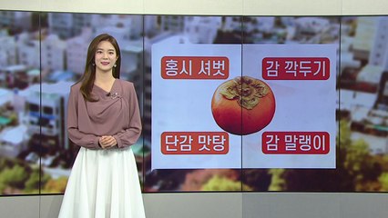 [날씨] 오늘 큰 일교차...중서부 오전 미세먼지 / YTN