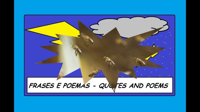 Amigos falsos são como abelhas: Estão sempre em bando, tentam sugar o que você tem! [Frases e Poemas]