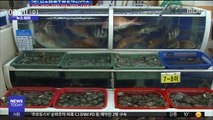 [뉴스터치] 생선회 가격 8개월 연속 하락…광어 200톤 강제 폐기