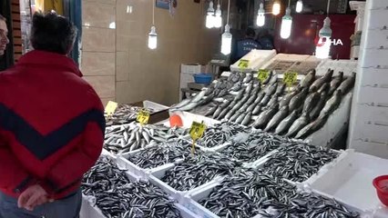 Balıkçıların "Mavi Işık" hilesini zabıta engelledi