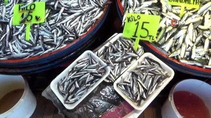 Marmara'ya akın etmeyen hamsi fiyatları yükseltti