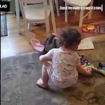 Fazil Say'dan güldüren paylaşım: Valla haklısın arkadaş