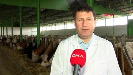 Buzağı kayıplarına karşı 'ultrason ve suni tohumlama' projesi