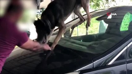 Karı koca 15 kilo eroin ve 2 kilo metamfetamin ile yakalandı