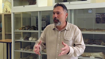 Kırşehir'de bulunan milyon yıllık fosiller dünya literatürüne kazandırılacak