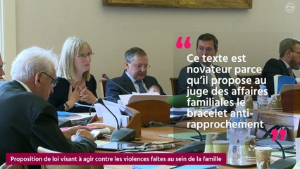 [QUESTIONS SUR] La proposition de loi visant  agir contre les violences faites au sein de la famille