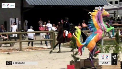 GN2019 | SO_08_Canteleu | Pro Elite Grand Prix (1,50 m) Grand Nat | Sylvain MISRAOUI | ATHINA MAIL