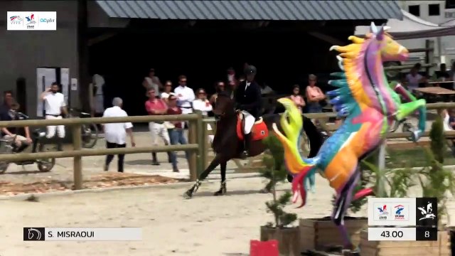 GN2019 | SO_08_Canteleu | Pro Elite Grand Prix (1,50 m) Grand Nat | Sylvain MISRAOUI | ATHINA MAIL