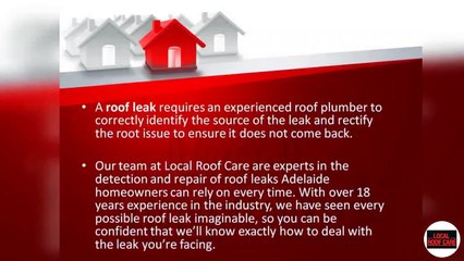 Repairing Roof Leaks Adelaide Wide
