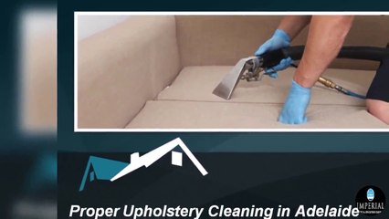 Proper Upholstery Cleaning in Adelaide