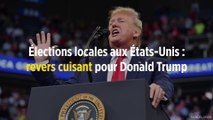 Élections locales aux États-Unis : revers cuisant pour Donald Trump