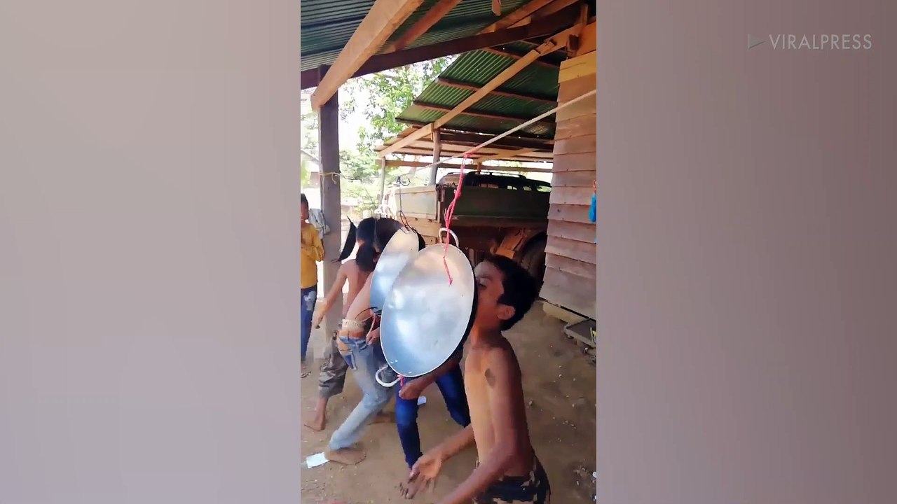 Bizarre Leaf Insect Amazes Locals In The Philippines
