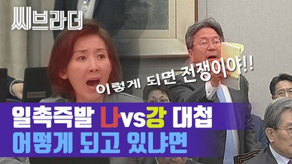 나경원 vs 강기정 대란, 어제자 상황까지 정리해드림[씨브라더]