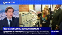 Quotas: un couac au gouvernement ? - 06/11