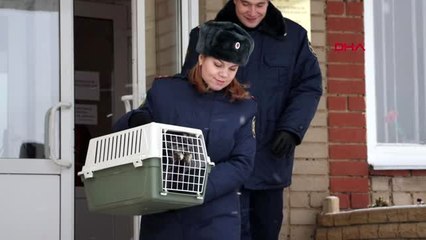 Cezaevine uyuşturucu taşıyan kurye kediye yuva aranıyor