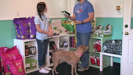 Pet Grooming Montgomery | The Barkly Pet Retreat & Spa