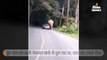 कार पर बैठना चाह रहा था हाथी, ड्राइवर ने मुश्किल से बचाई जान