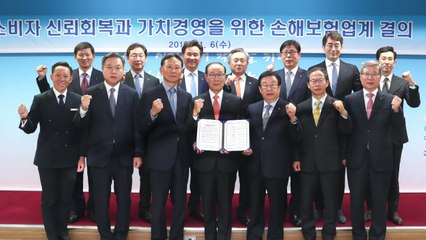 [기업] 손보업계, 소비자 신뢰회복·가치경영 천명 / YTN