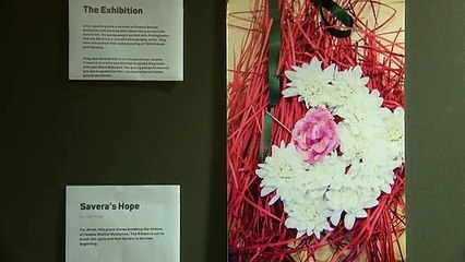 Youth-Led End FGM