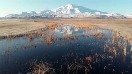 Süphan Dağı beyaza büründü - VAN