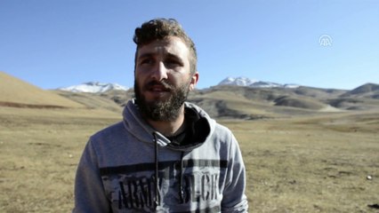 Faraşin Yaylası besicileri artık uzun süreli konuk ediyor - ŞIRNAK