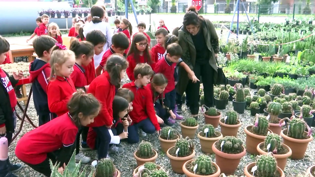 İlkokul öğrencilerinden kaktüslerden Türk bayrağı - SAMSUN