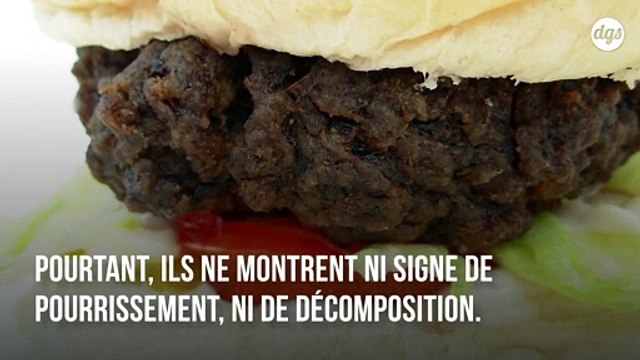 10 ans après avoir été achetés, ce burger et ces frites n'ont toujours pas pourri