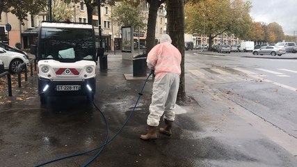 Caen fait la chasse aux étourneaux et à leurs fientes