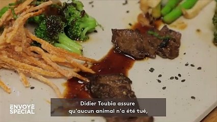 Pourra-t-on bientôt manger de la viande issue de cellules cultivées en laboratoire ?