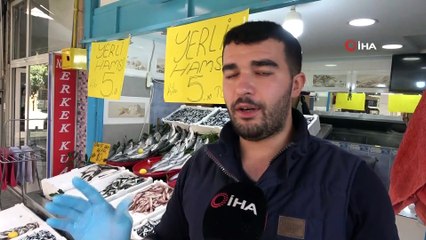 - Hamsi 5 liraya düştü