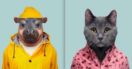 Ce photographe réalise de savoureux montages d'animaux habillés comme des humains