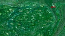 Atatürk baraj gölü'ndeki yeşilliğin nedeni plankton ve alg patlaması
