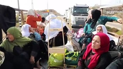 معاناة قطف الزيتون من الحقول الفلسطينية الواقعة وراء "الجدار" الإسرائيلي
