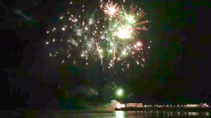 Worthing fireworks light up the night sky