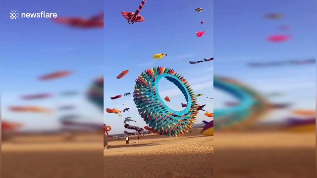 Animal-shaped kites fly in sky on Xiamen International Kite Festival