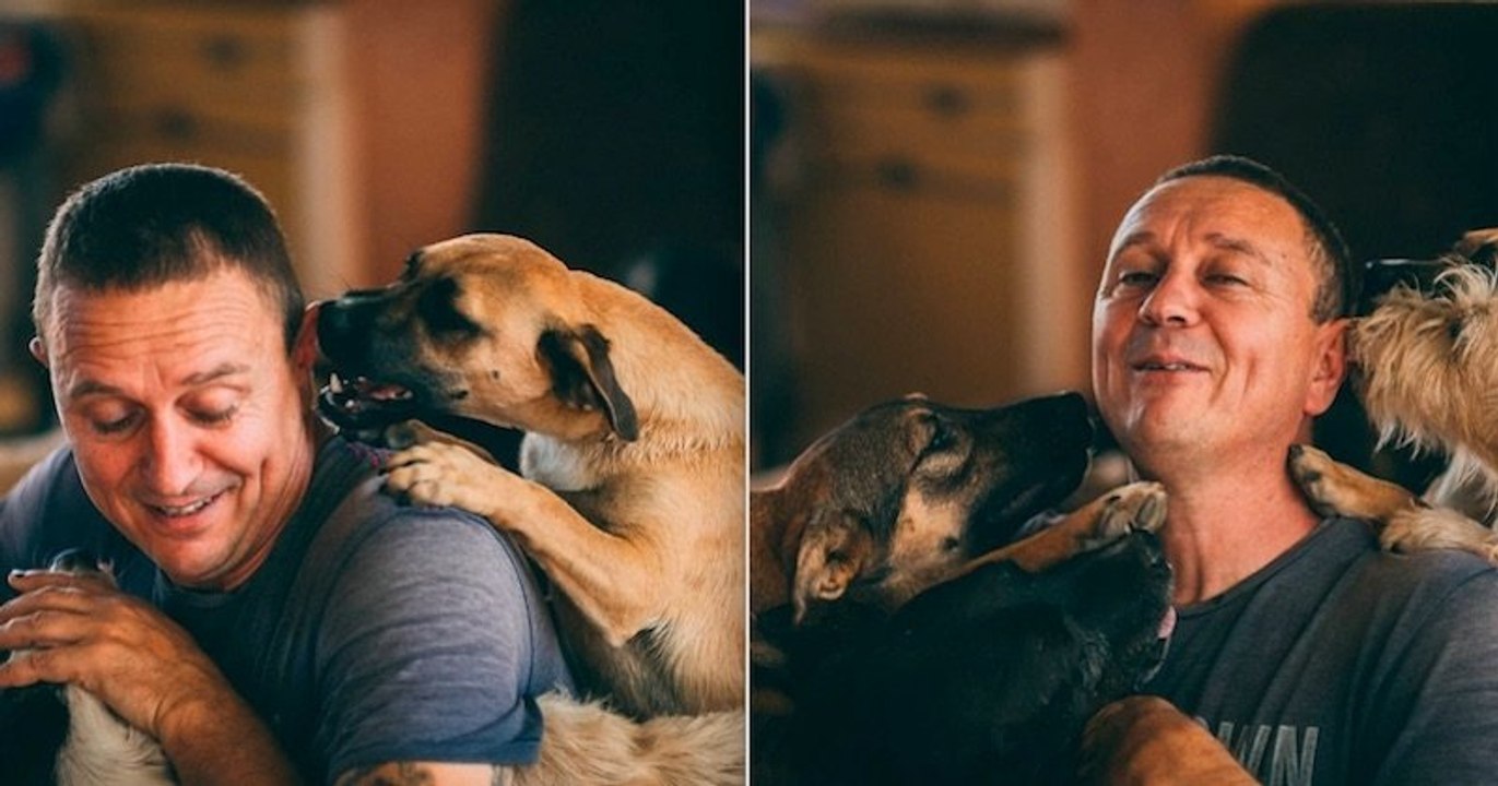 Cet homme au grand cœur a sauvé plus de 1000 chiens errants et en héberge encore plus de 700 dans son refuge