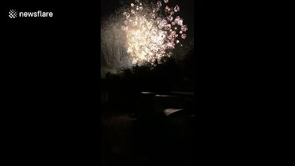 Horses left visibly distressed after loud fireworks let off near stable in UK