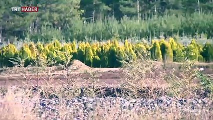 Eskişehir'den 'Geleceğe Nefes Ol' projesine büyük destek