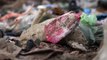 India's war on plastic hits hurdles amid industry fears