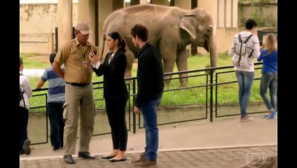 I Love Paraisópolis  Capítulo 52 COMPLETO HD
