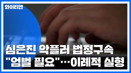 심은진 악플러 '법정 구속'...이례적 실형 선고 / YTN