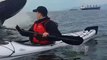 Une baleine vient surprendre 2 touristes en kayak et leur passe en dessous