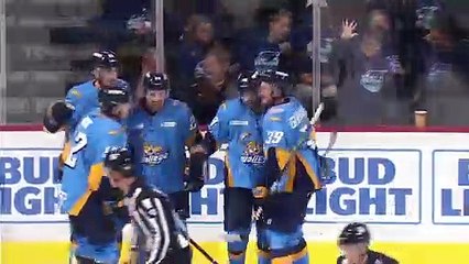 ECHL Wheeling Nailers 4 at Toledo Walleye 5