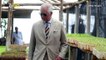 Prince Charles' Aston Martin Runs On Fuel Made From Wine And Cheese