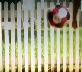 Baby Einstein 16 - Baby Worthsworth (12mos)